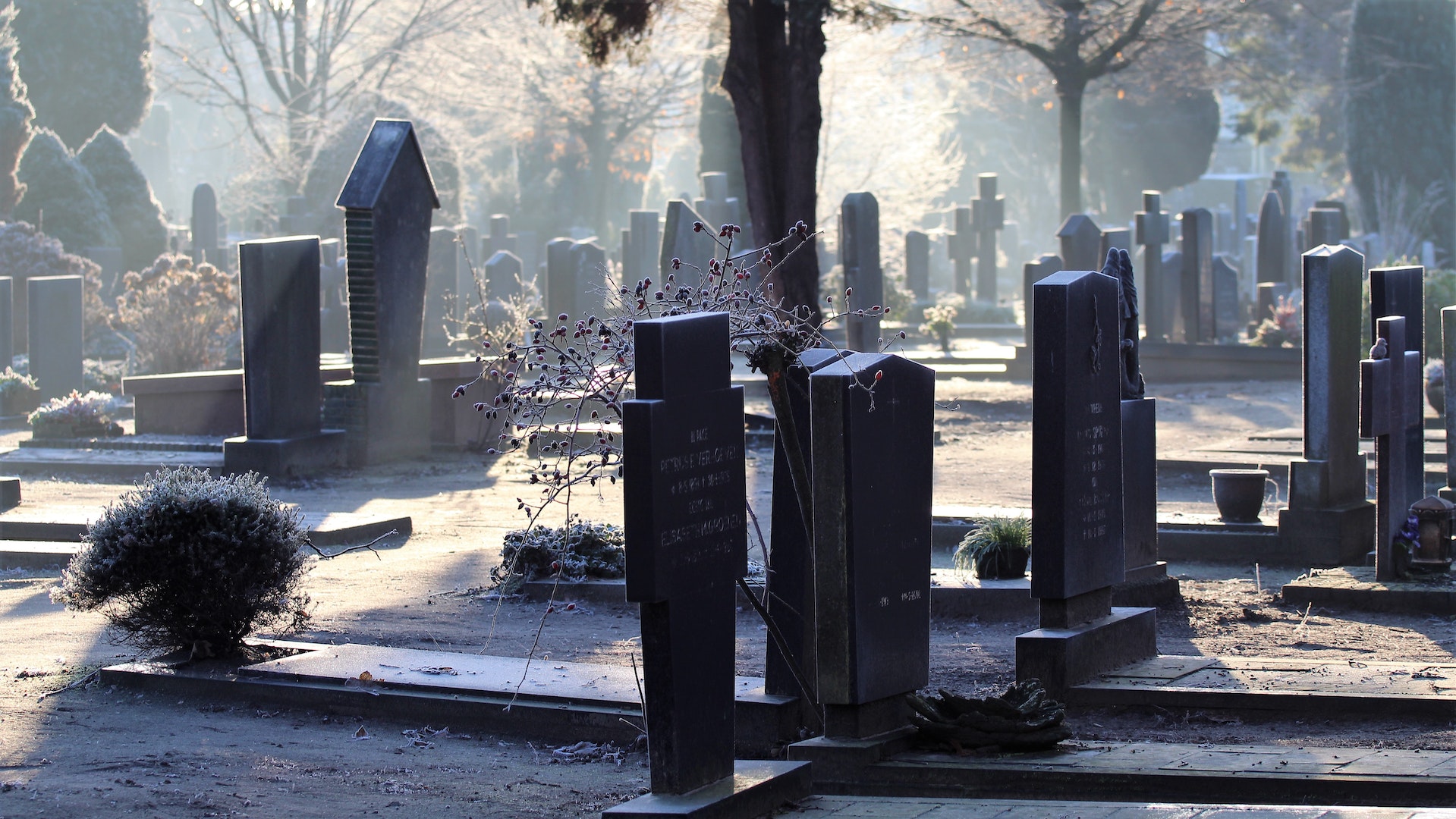 All Saints' Day & All Souls' Day