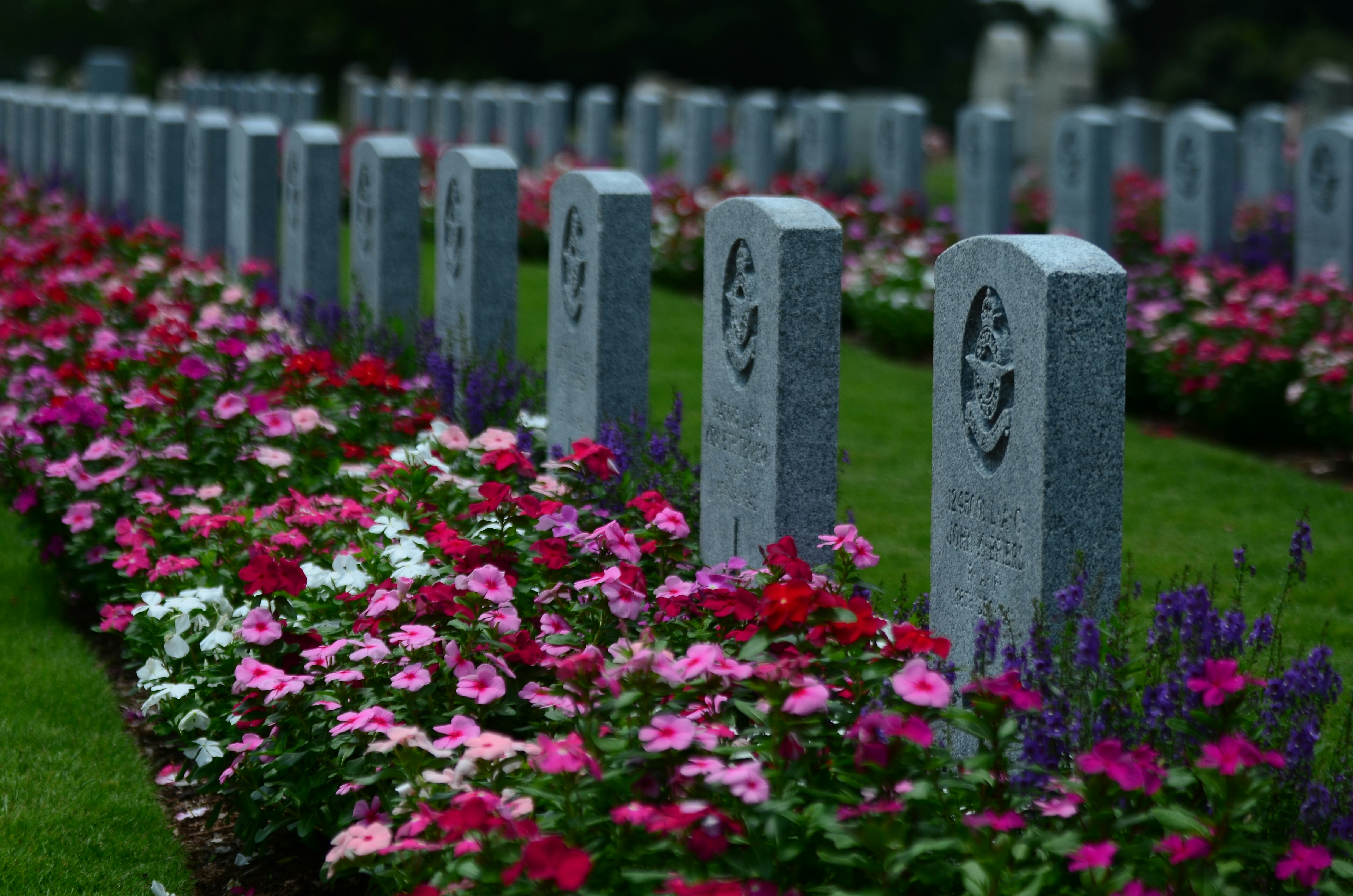 What does a funeral cost?