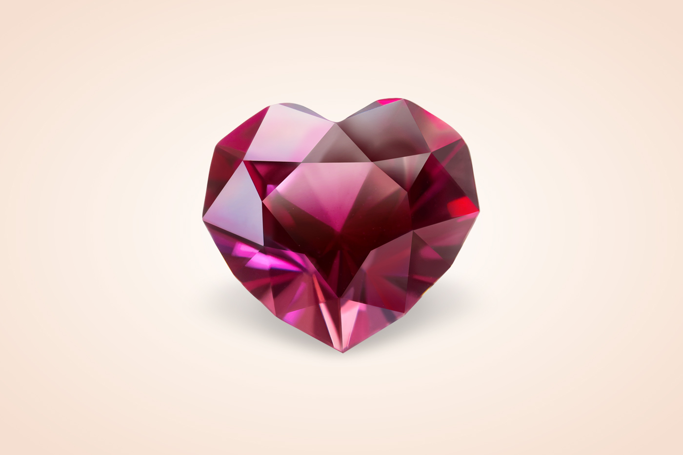 The Heart