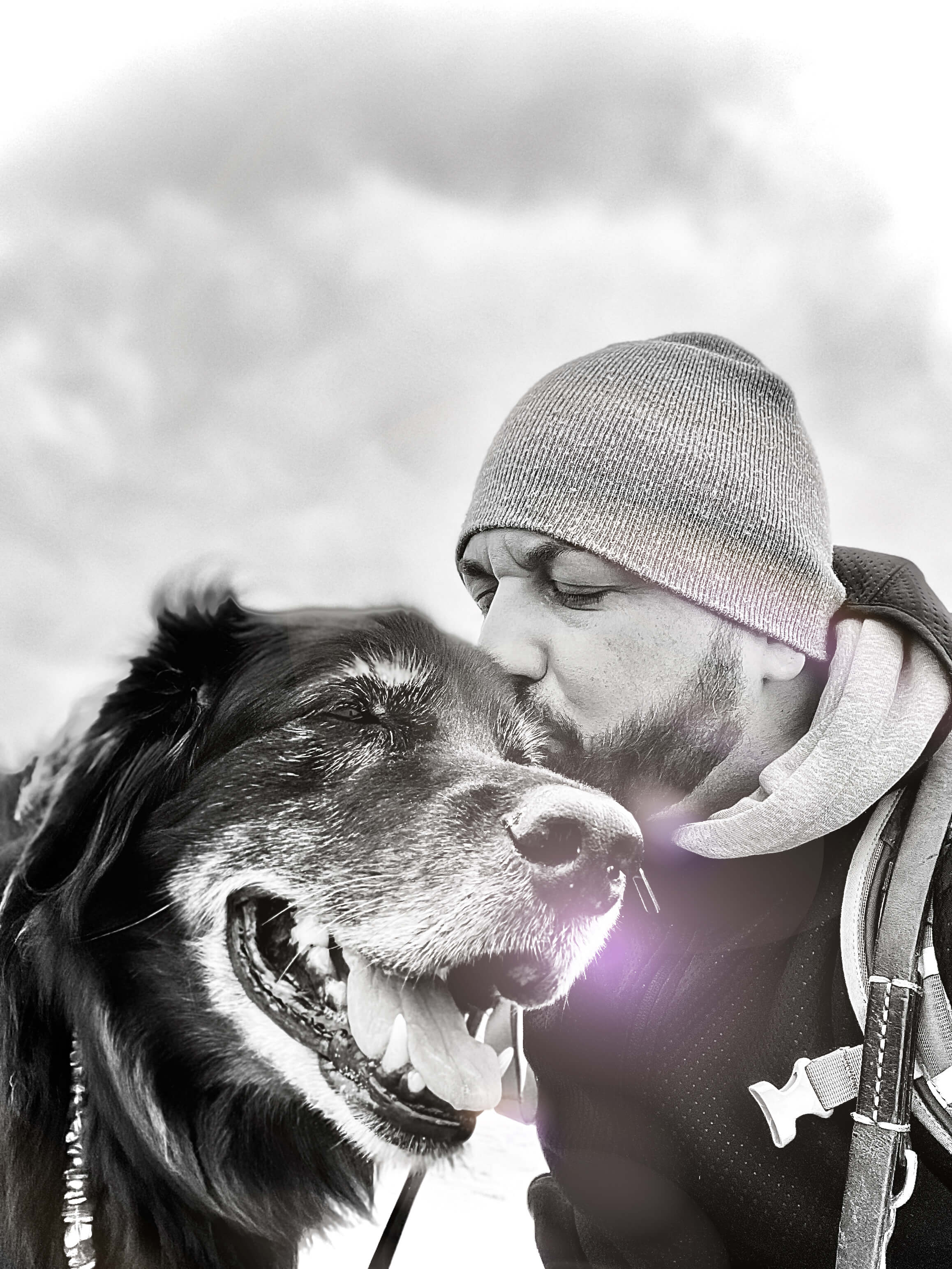 Mourning the deceased dog: Pascal talks about his Kurti ...