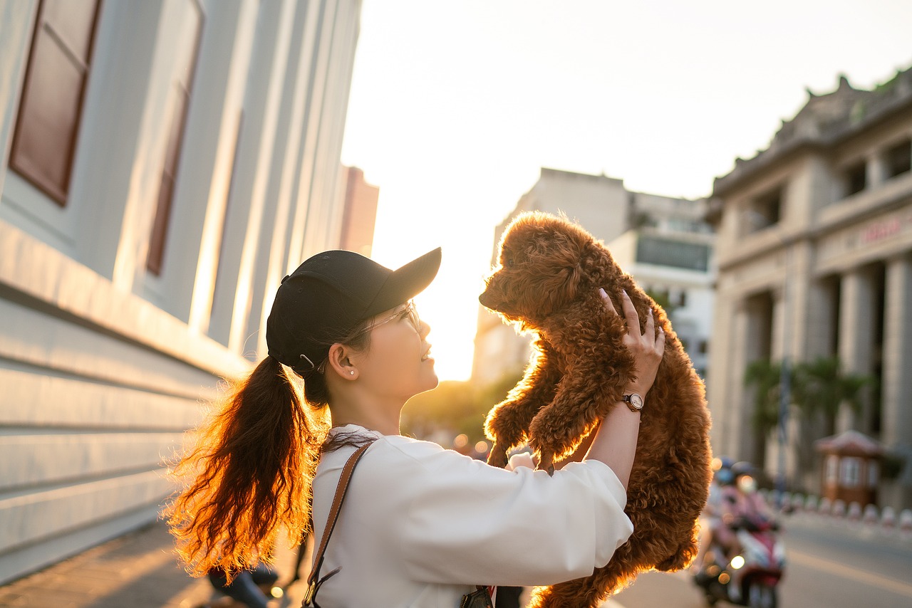 Die stillen Krieger: Hunde im Dienst der Sicherheit