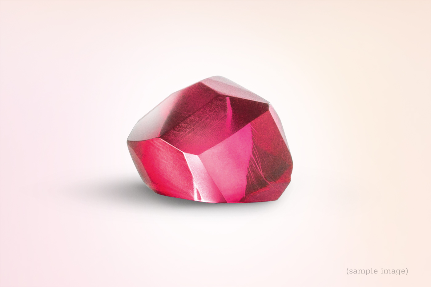 Regional und nachhaltig: Die Mevisto-Philosophie